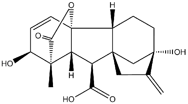 赤霉素GIBBERELLIC ACID，居然有這么神奇？